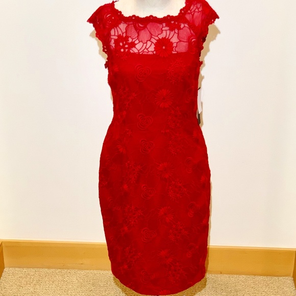 Cynthia Steffe Dresses & Skirts - 🔥NWT🔥 Cynthia Steffé "Ruby" Dress - Size 6✨✨✨